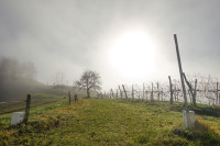 /album/kleeblattweg-3b-leutschach-5-dezember-2024/langegg-kleeblattweg-3b-05-12-2024-30-jpg/